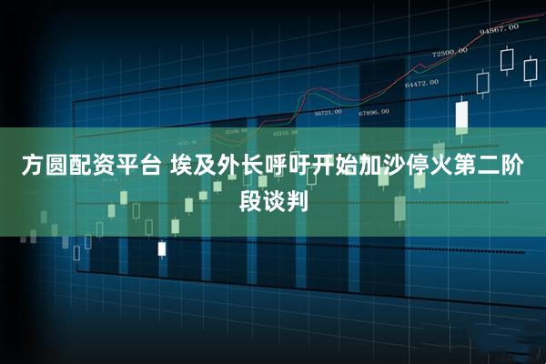 方圆配资平台 埃及外长呼吁开始加沙停火第二阶段谈判